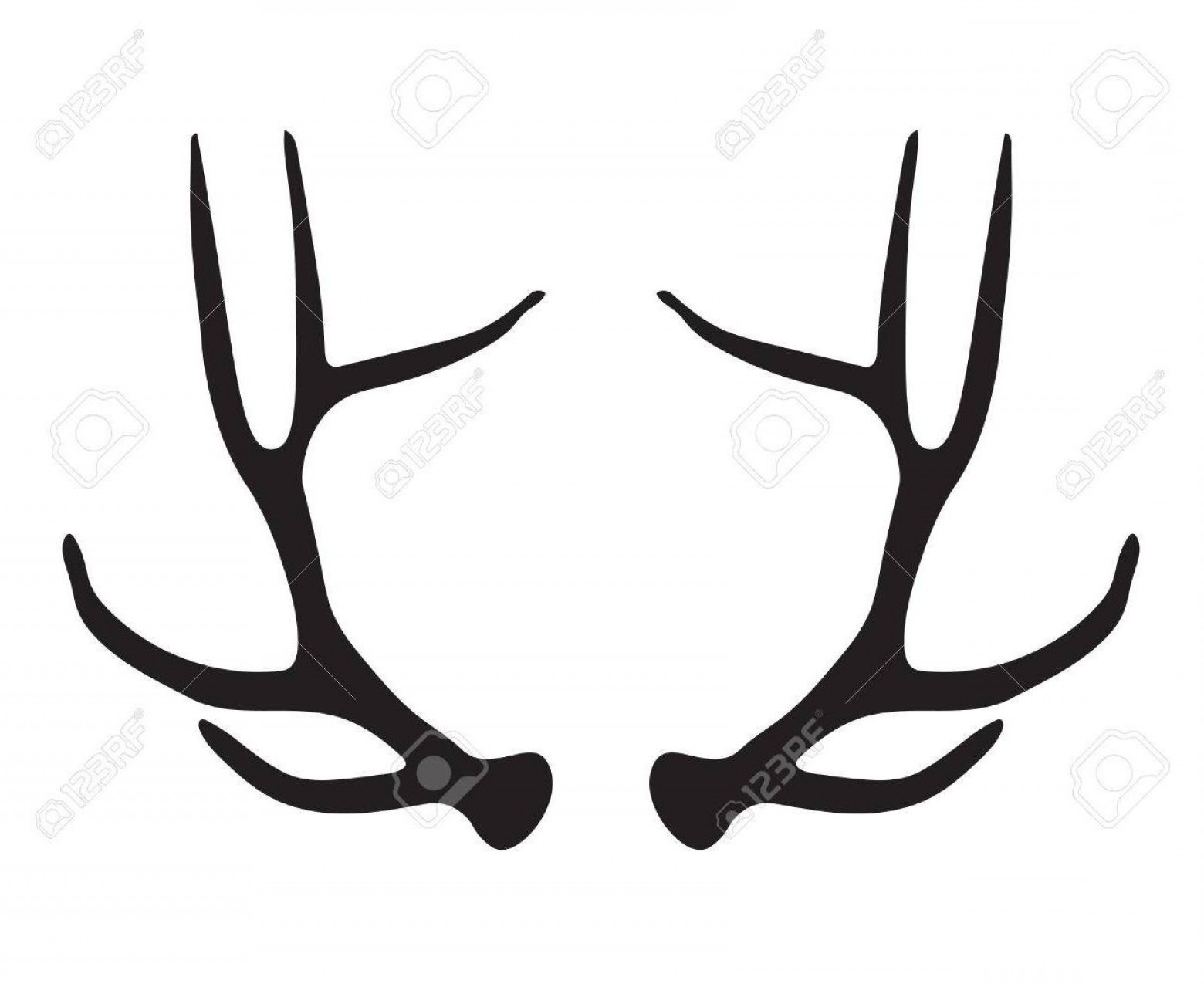 Deer antlers drawing free. Antler clipart vector
