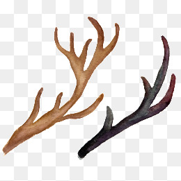 Antler clipart watercolor. Png vectors psd and