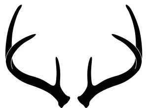 antler clipart white tail