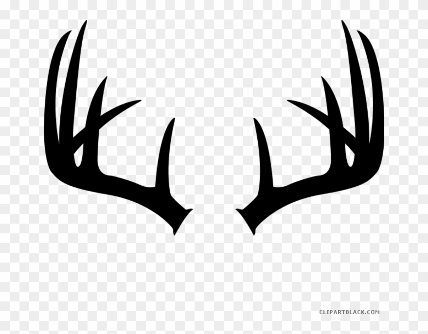 Freeuse deer antlers animal. Antler clipart outline