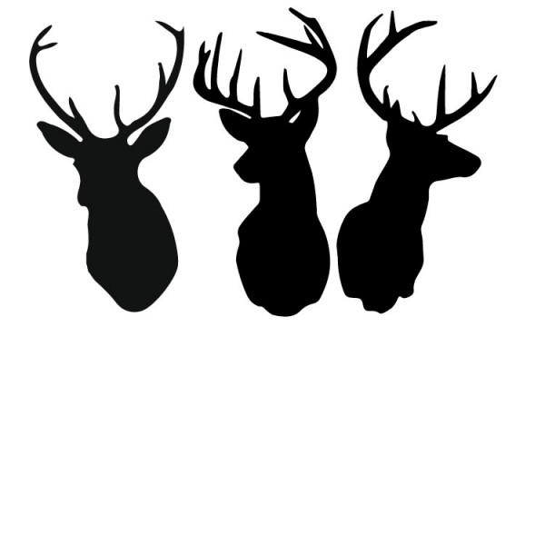 Antlers clipart baby deer. Free download clip art