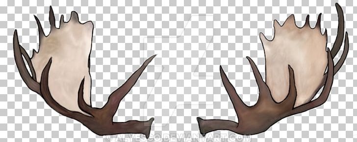 Antlers clipart draw. Moose deer antler drawing