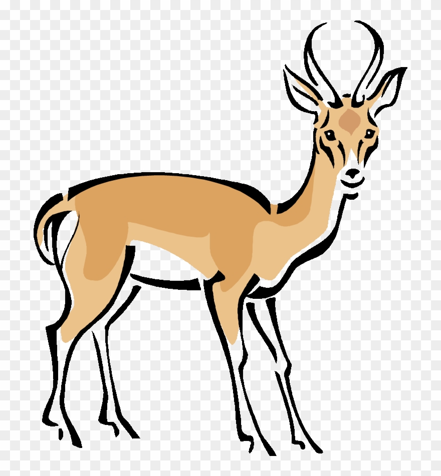 Deer clipart wild deer. Gazelle addax png download