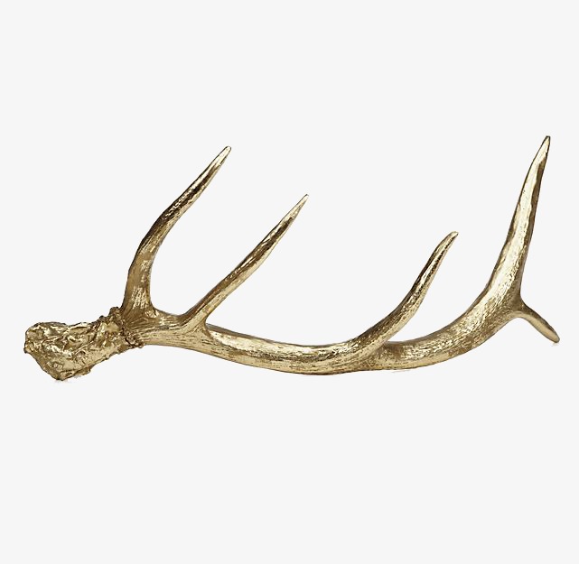 Gold plated stag horn. Antlers clipart single