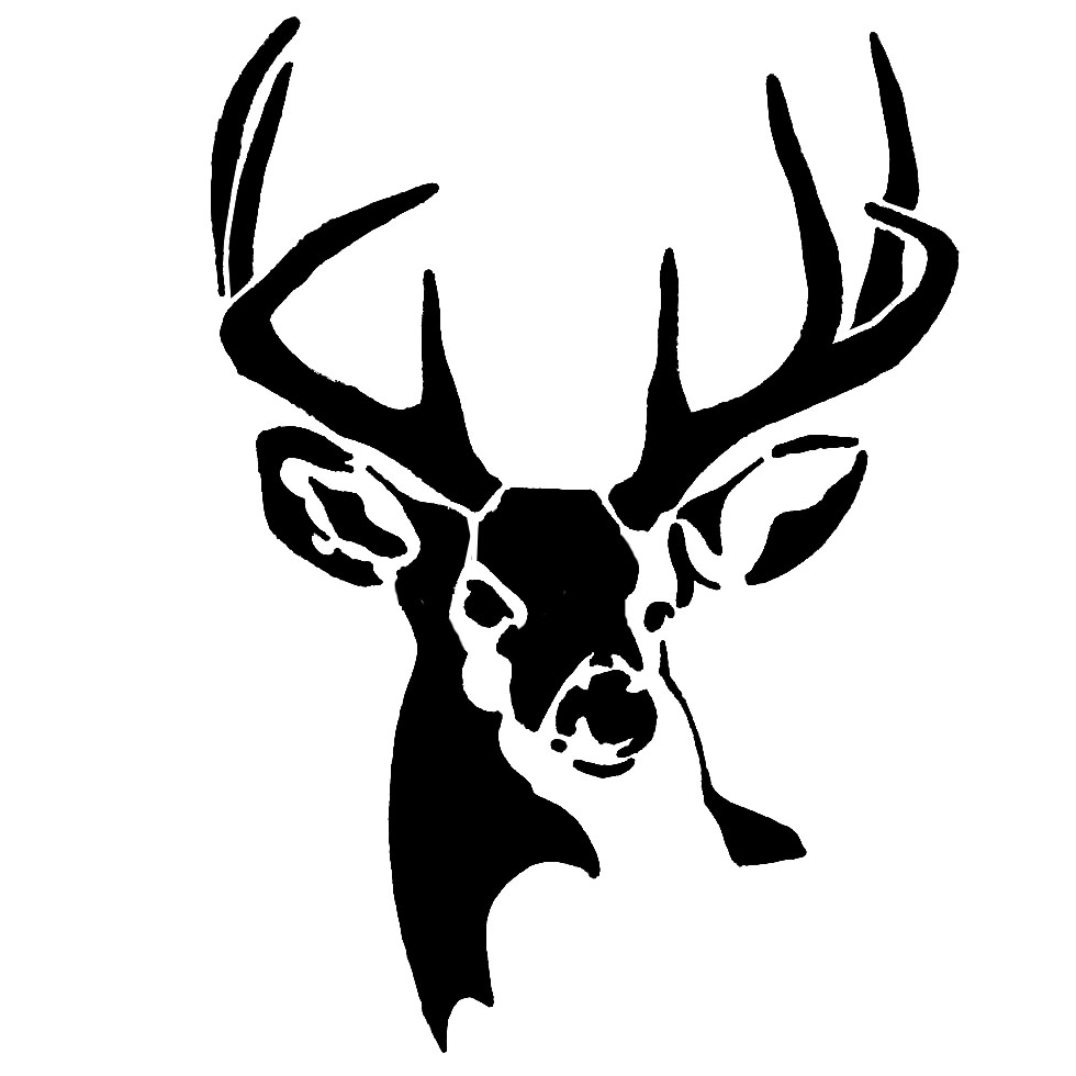 Whitetail buck deer bucks. Antlers clipart stencil