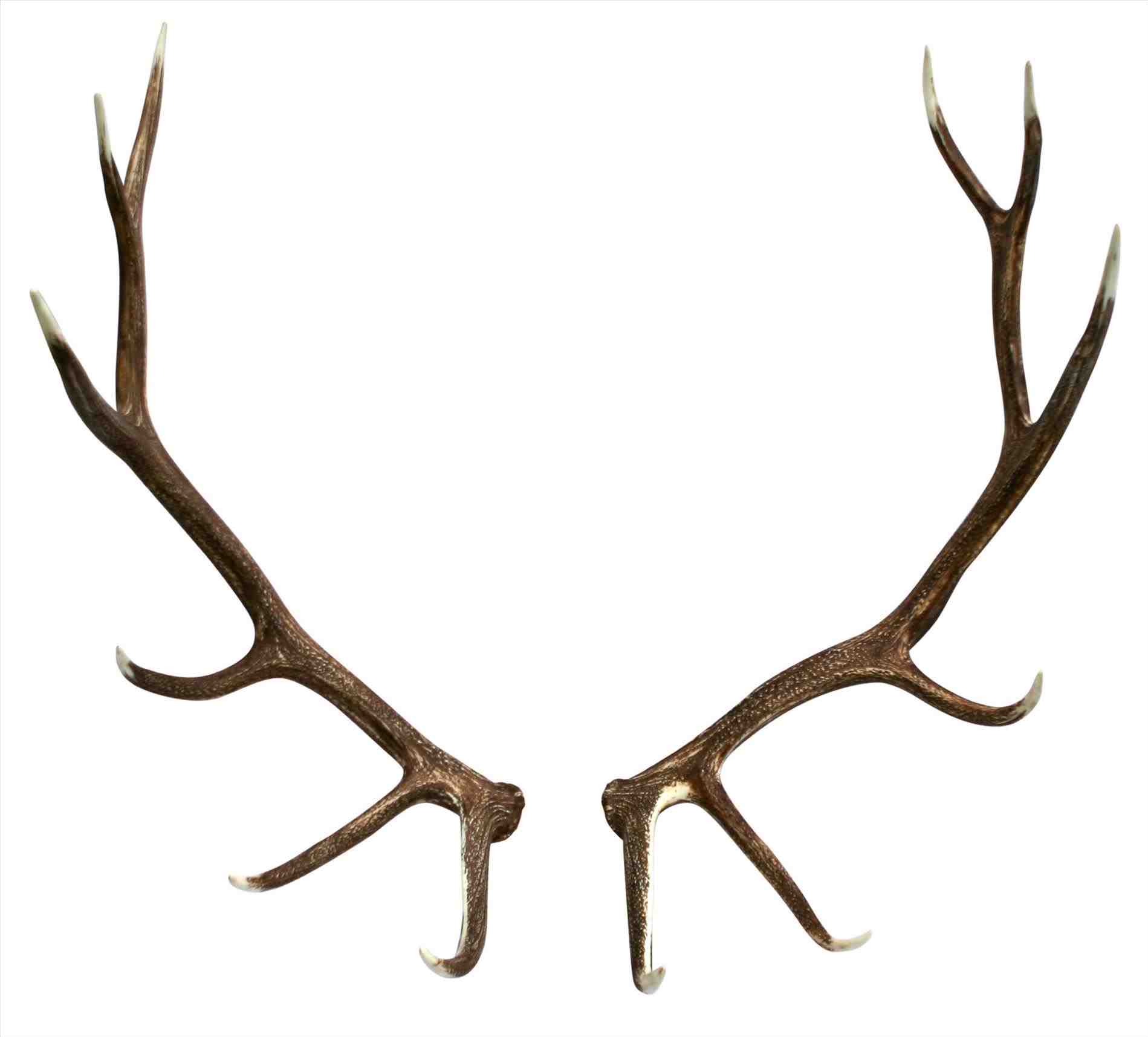  collection of deer. Antlers clipart transparent background