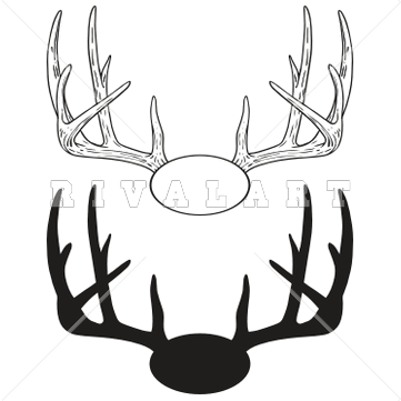 collection of whitetail. Antlers clipart white tail