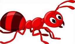 Ant clipart red ant. Free