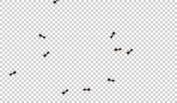 Ants clipart animation. Gif find share on