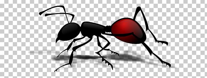 Queen insect png animals. Ants clipart army ant
