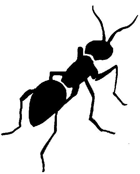 Ants clipart body. Ant black and white