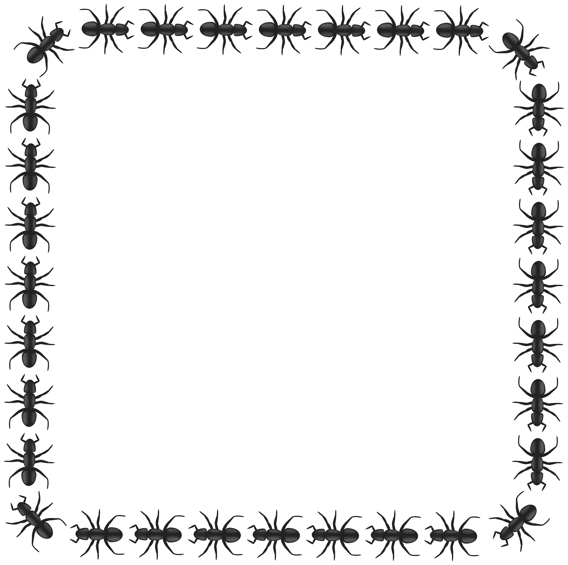 Ant border big image. Square clipart black outline