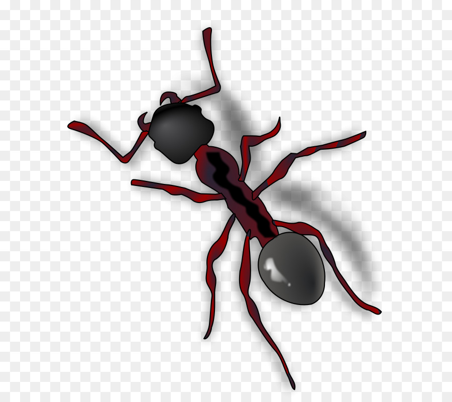 Ants clipart bullet ant. Queen clip art cartoon