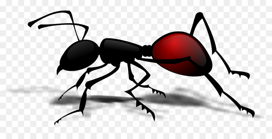 Ants clipart carpenter ant. Insect clip art crawling