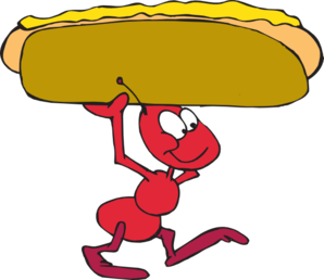 Ant carrying hot dog. Ants clipart carry