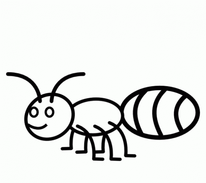 Ants clipart coloring. Ant pictures for kids