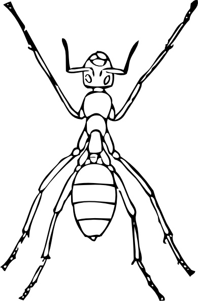 Ant clip art free. Ants clipart line drawing