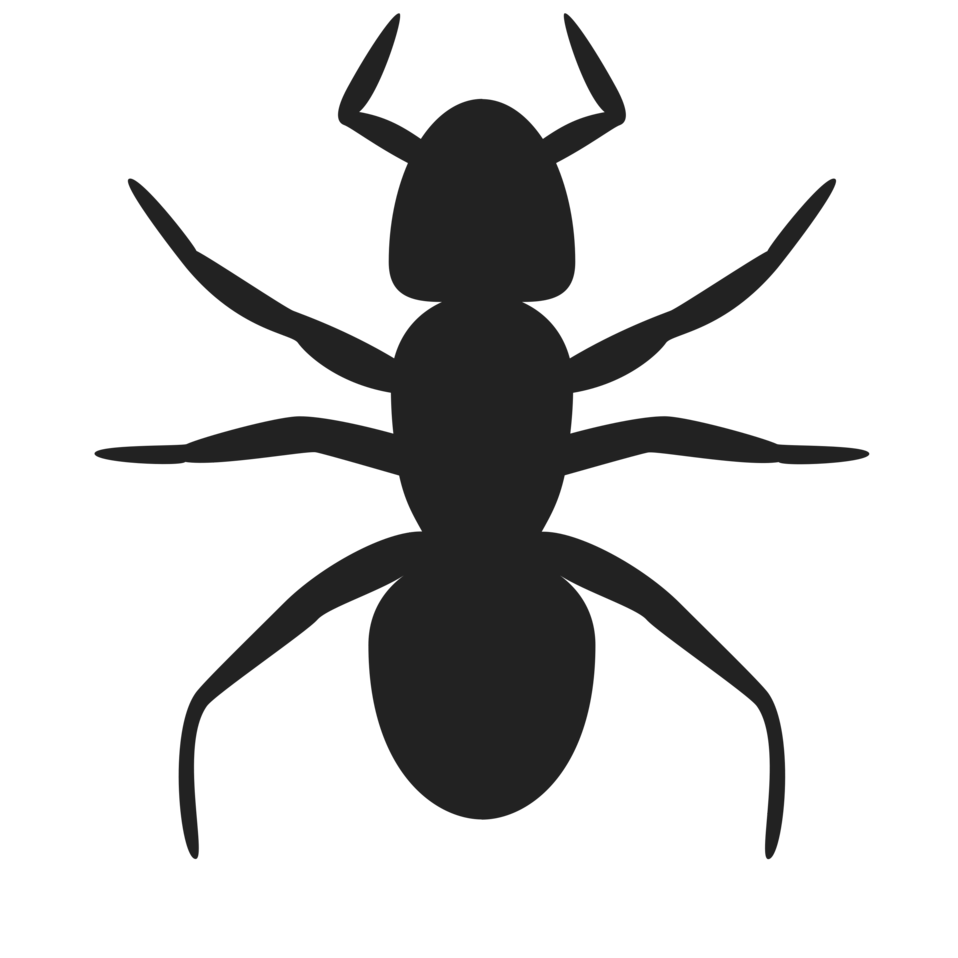 Ants clipart silhouette. Pencil and in color