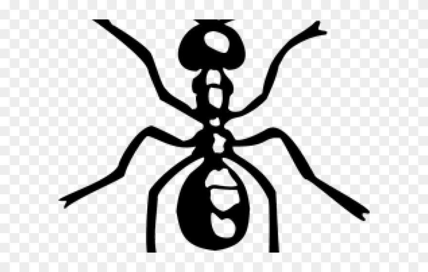 Drawn ant pinclipart . Ants clipart simple