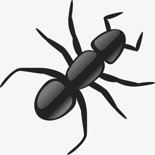 Ants clipart small ant. Black crawl png image