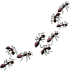 In the kitchen vermont. Ants clipart strong