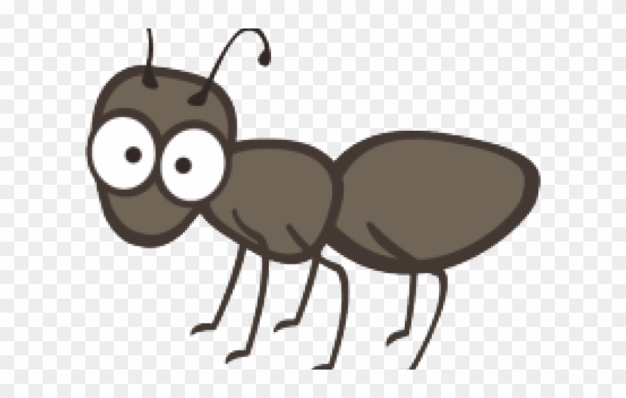 Ant single . Ants clipart transparent background
