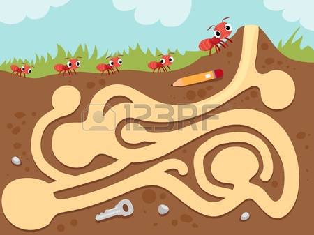 Pencil and in color. Ants clipart underground