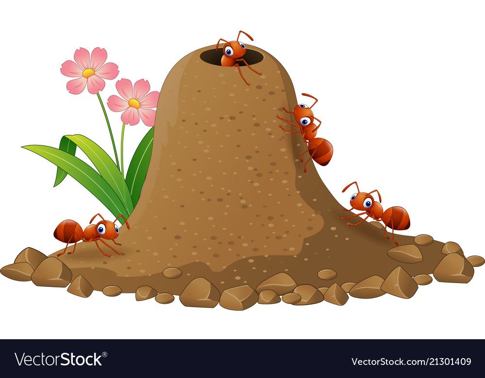 Ants clipart underground. Pin by on ant