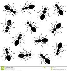 Ant clipart printable. Ants clip art october