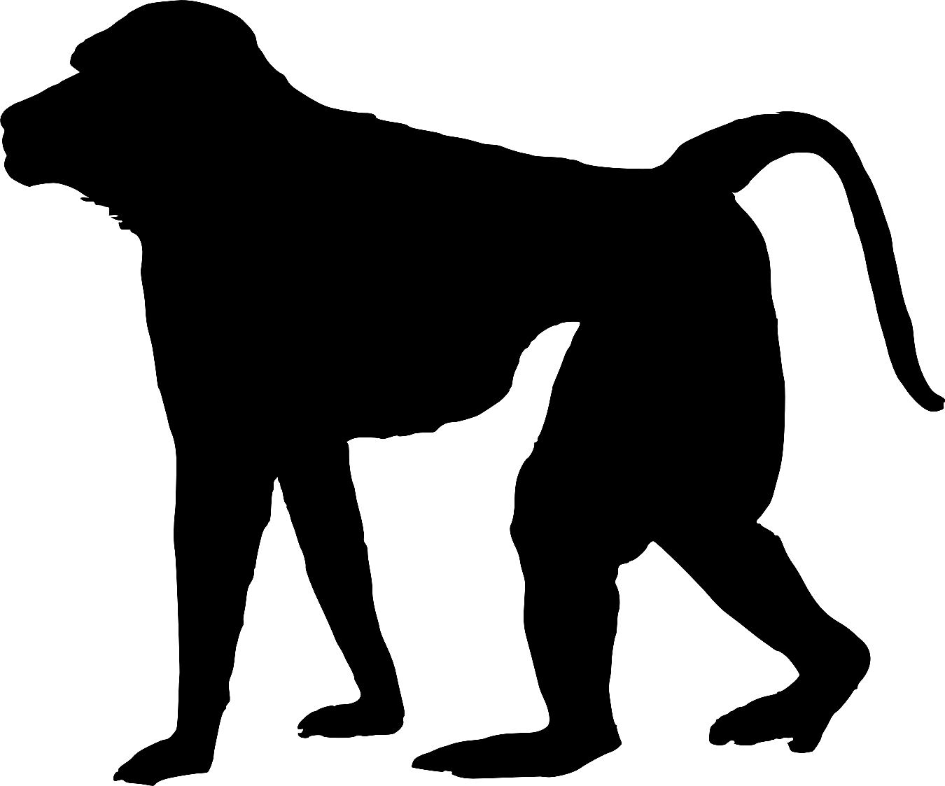 ape clipart baboon