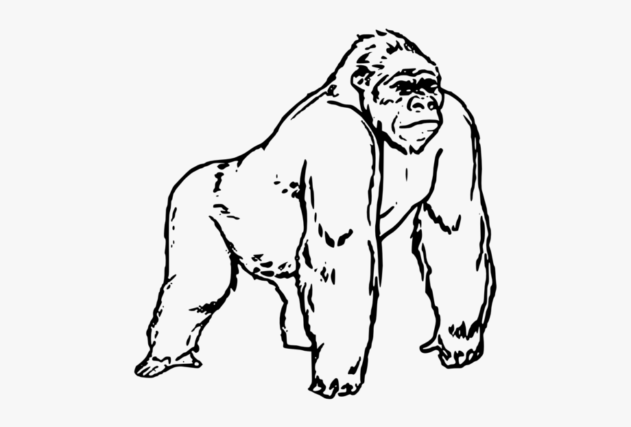 . Ape clipart black and white