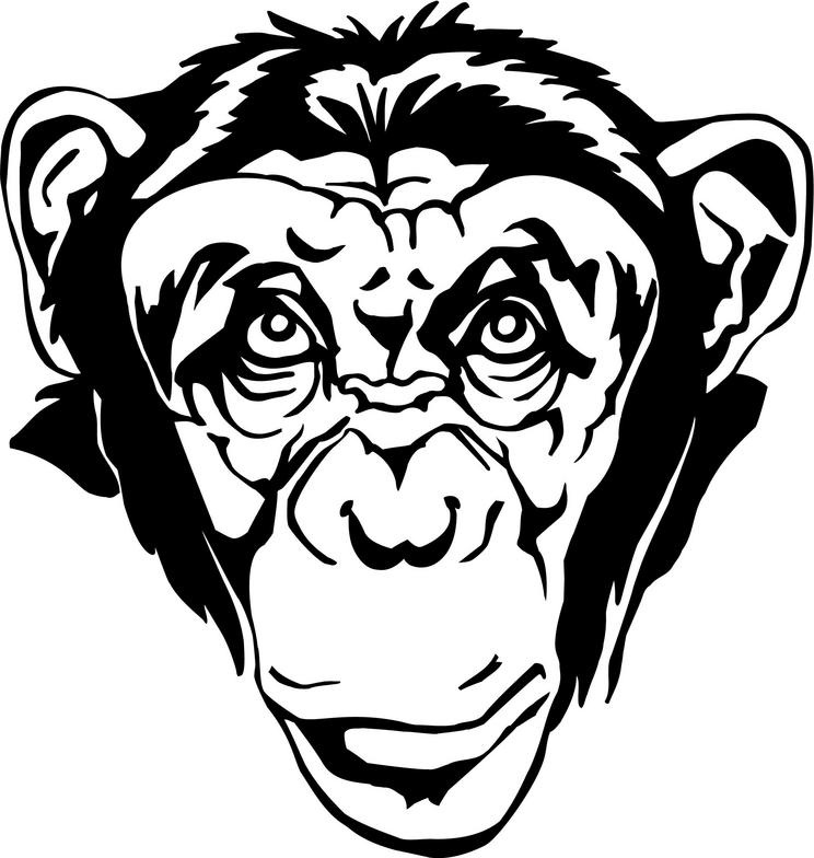  clip art panda. Ape clipart chimpanzee