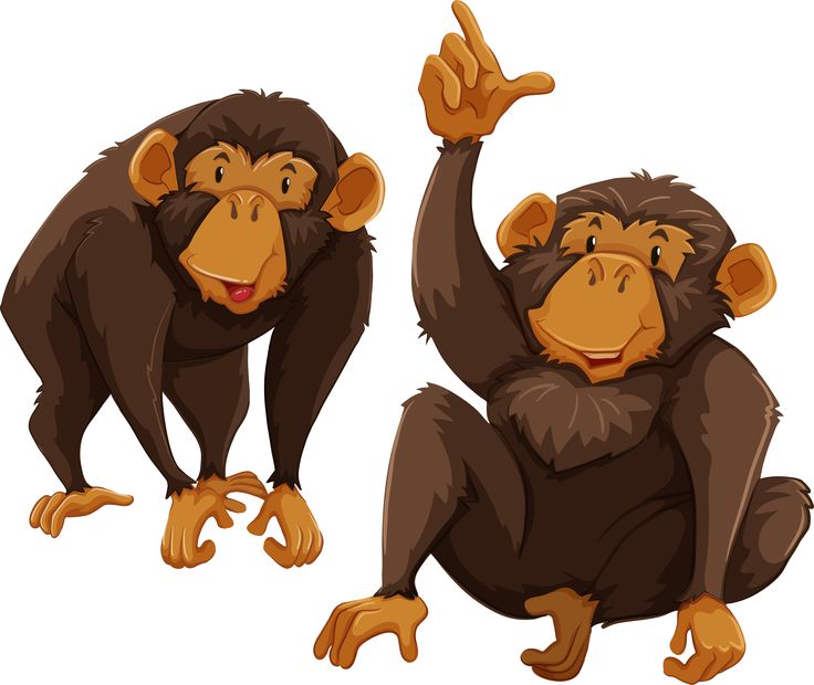 Ape clipart chimpanzee.  best clip art