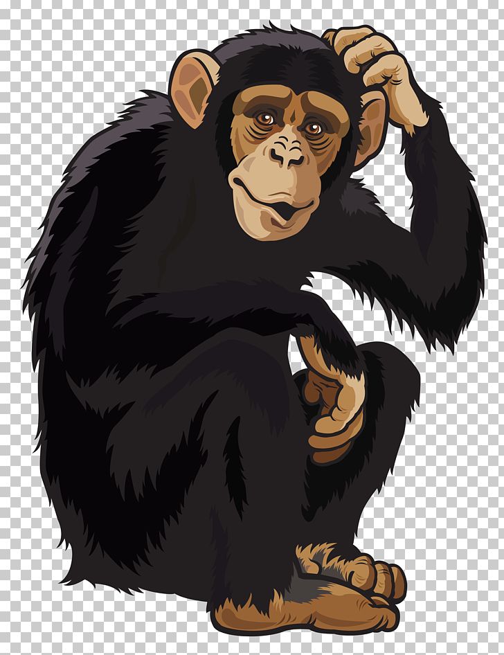 Ape clipart chimpanzee. Monkey png animals bear