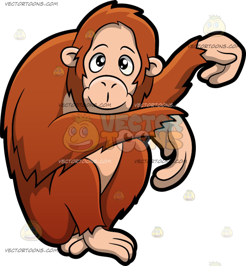 Orangutan pinart illustration of. Ape clipart cute