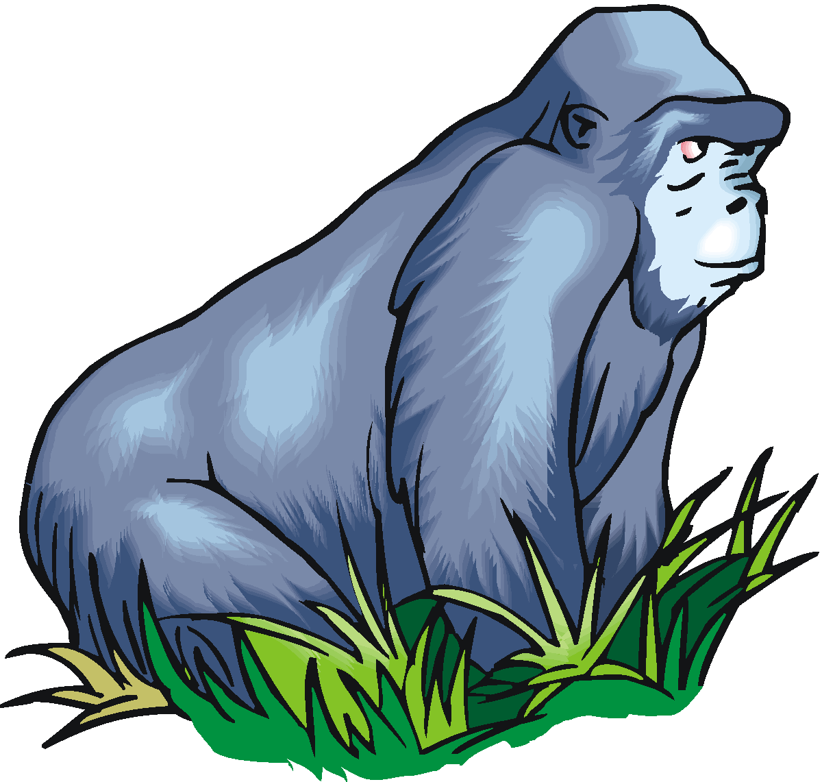 Pygmy it s something. Ape clipart female gorilla