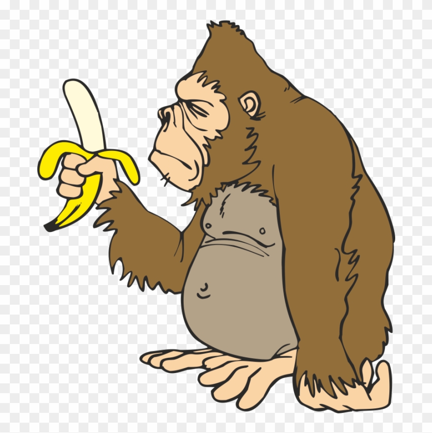 gorilla clipart banana