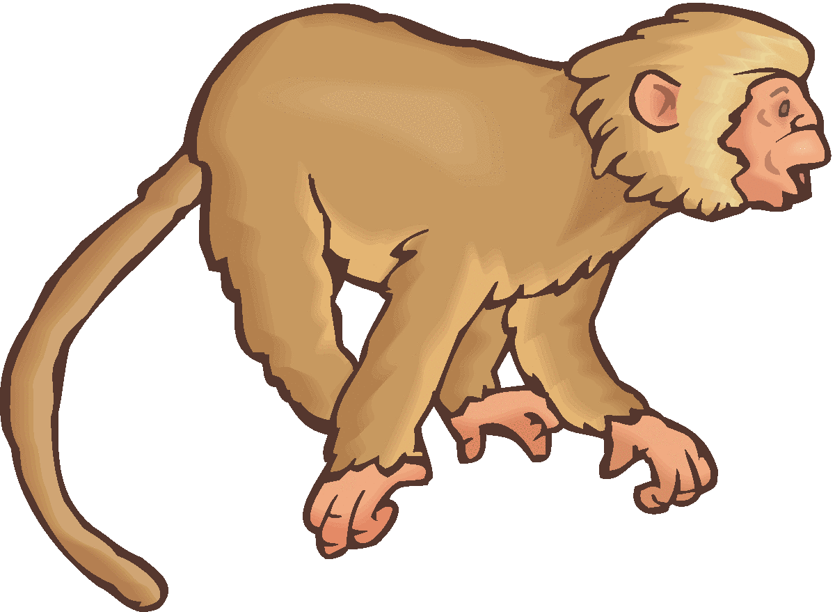 Monkey clip art for. Ape clipart macaque