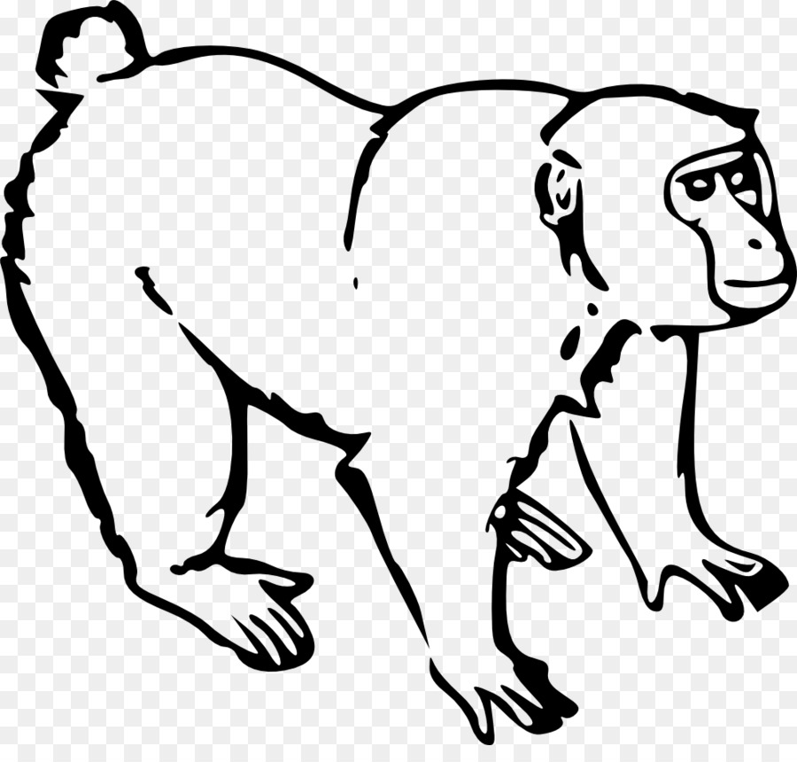 ape clipart monkey tail