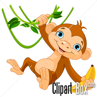 ape clipart monky