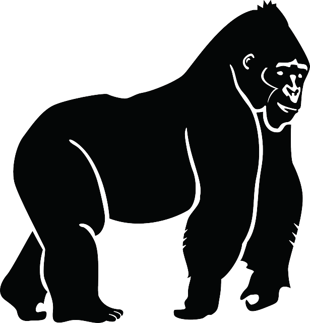 Clipart banana gorilla. Free vector graphic silhouette
