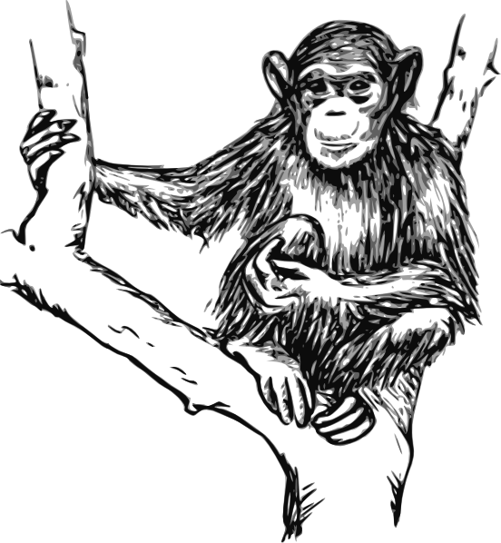 Ape clipart outline. Grayscale chimpanzee clip art