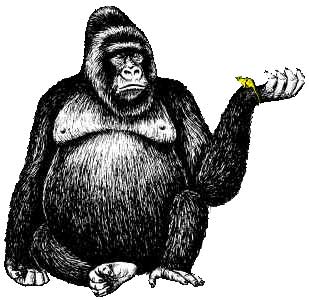 ape clipart primate