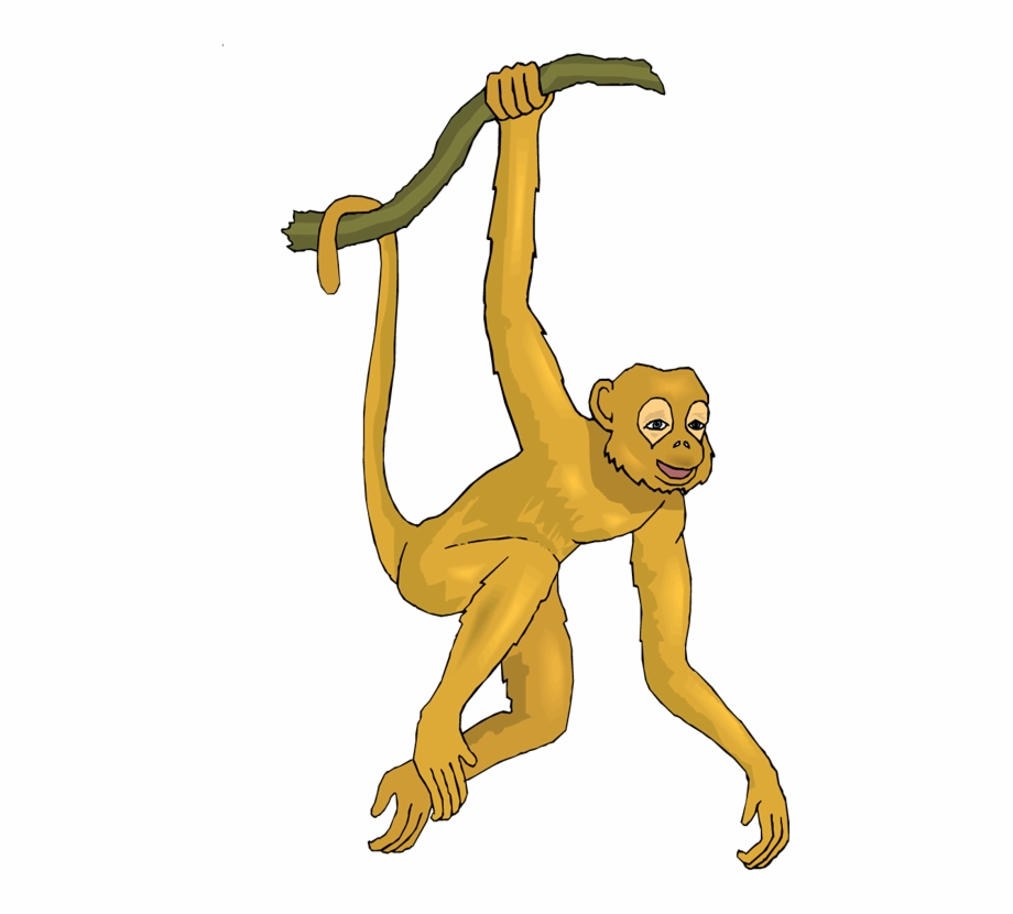 clipart monkey realistic