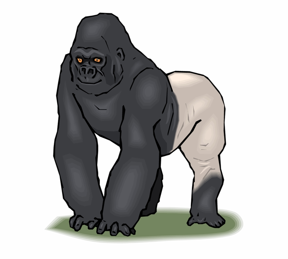 Gorilla clipart silverback, Gorilla silverback Transparent FREE for ...