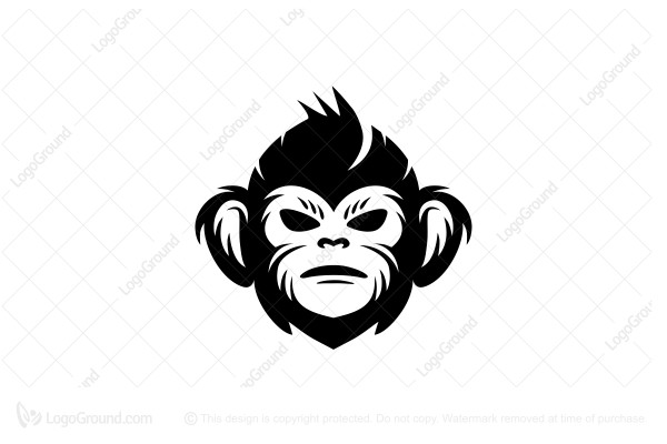 ape clipart wild monkey