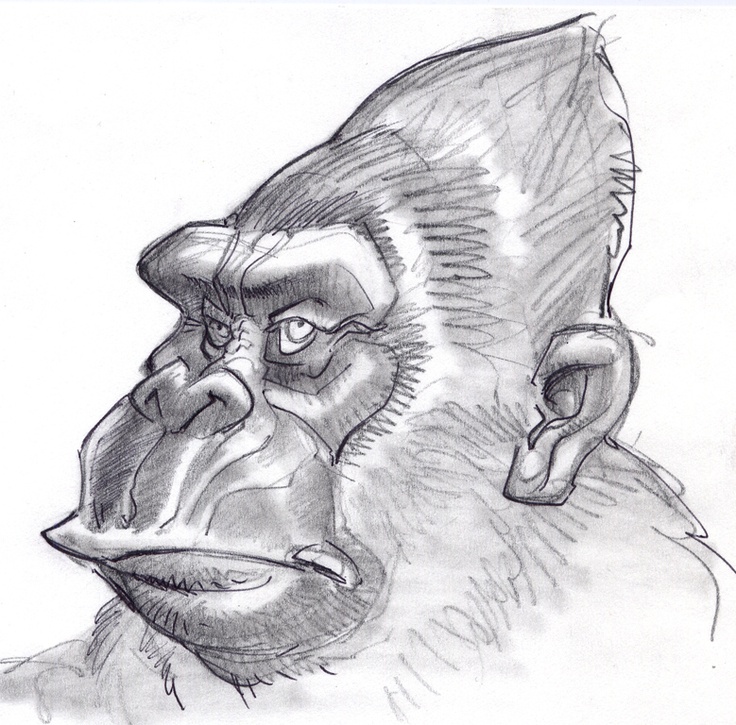 ape clipart year monkey