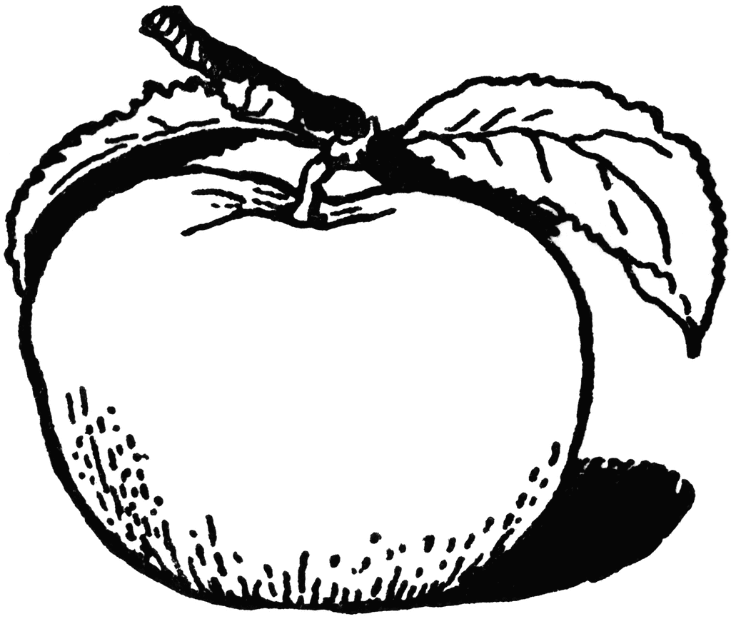 Drawing at getdrawings com. Apple clipart line