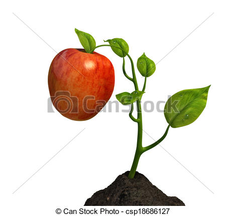 apple clipart sapling