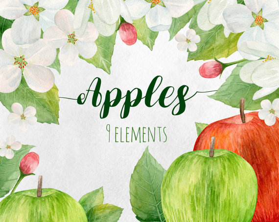 apple clipart watercolor